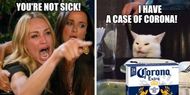 Cat Memes